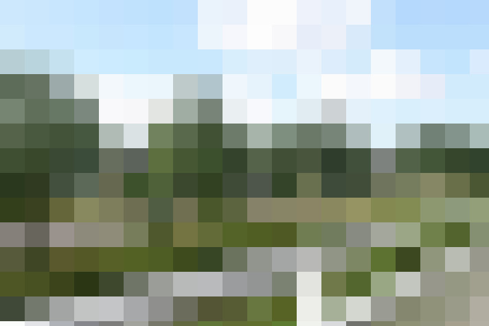 Image 13