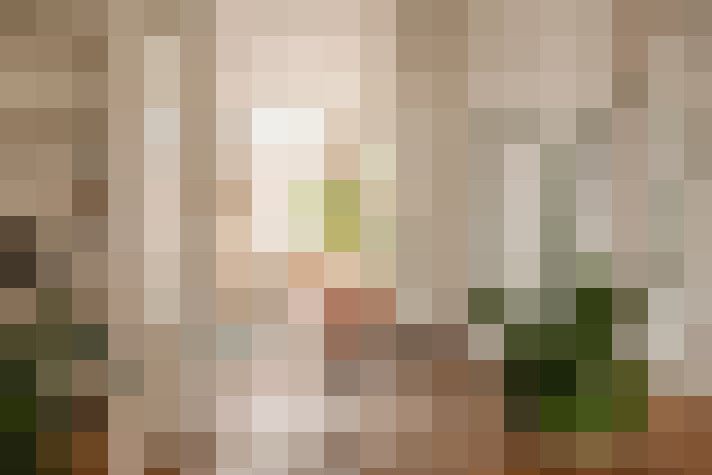 Image 28