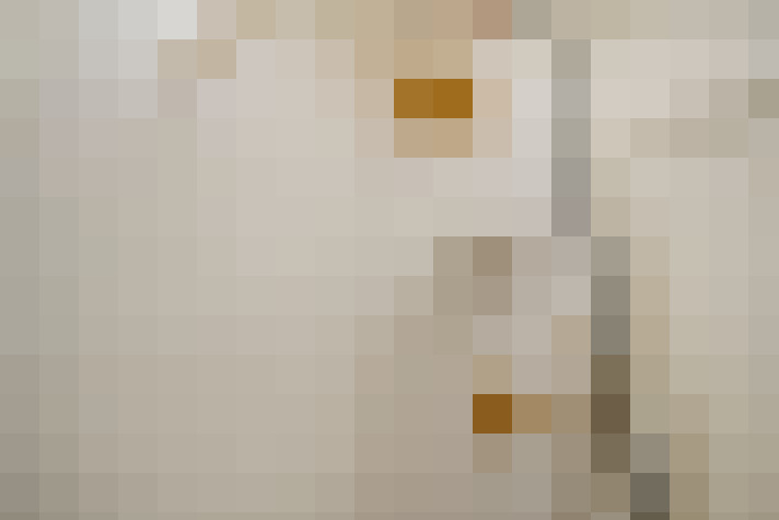 Image 53