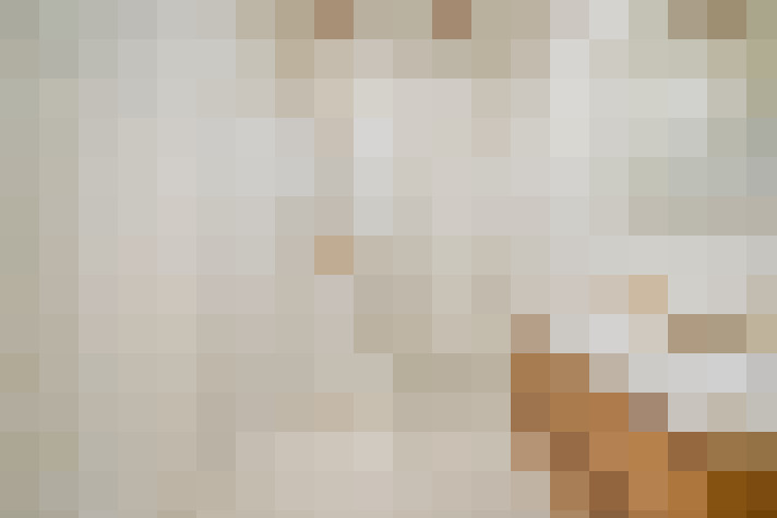 Image 52