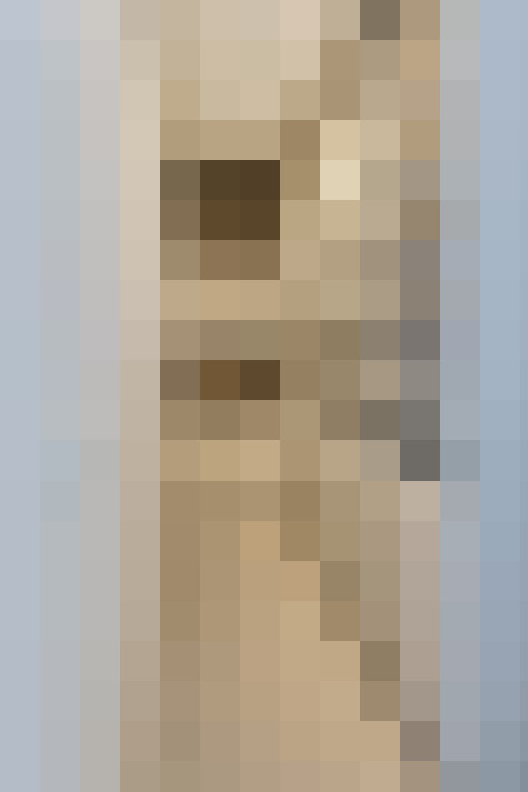 Image 31