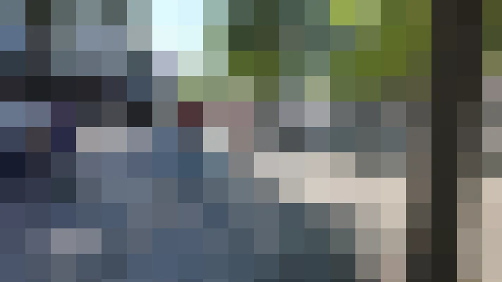 Image 26