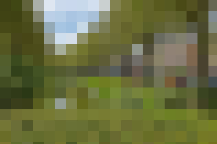 Image 20