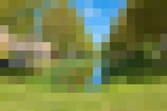 Image 22