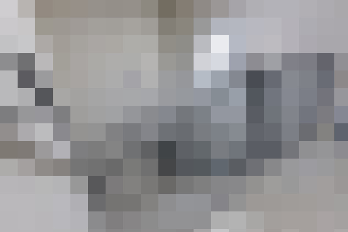 Image 17