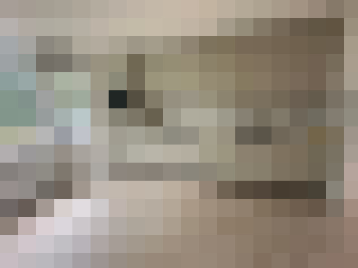 Image 16