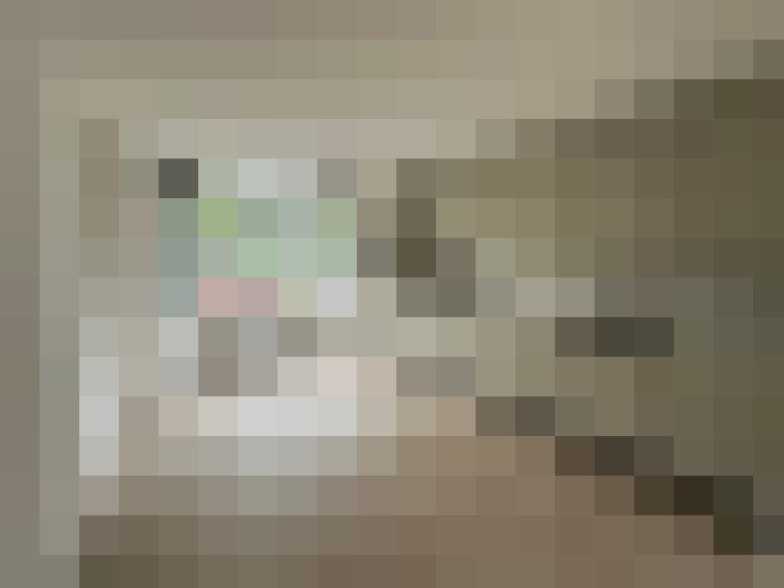 Image 13