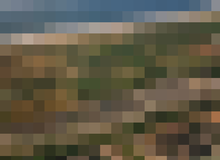 Image 49