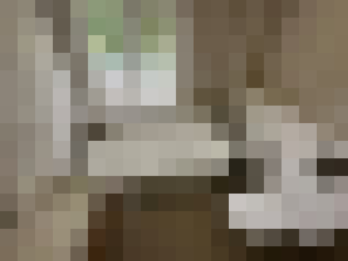 Image 26