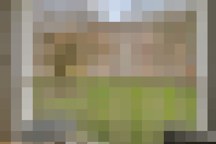 Image 23