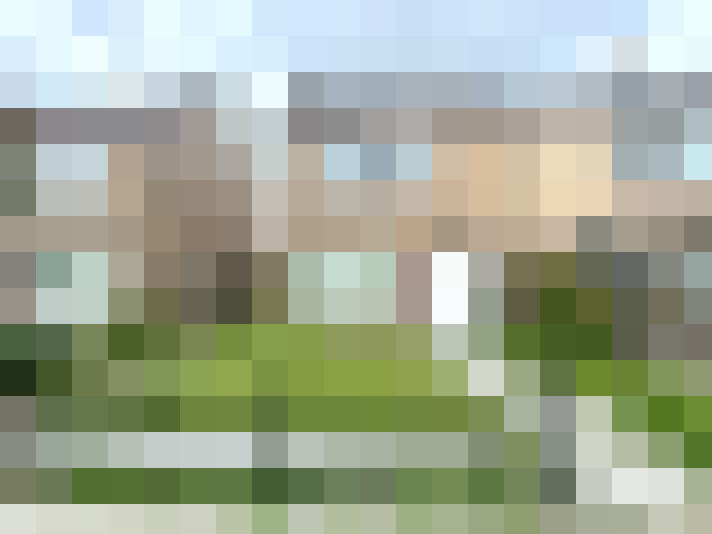 Image 16