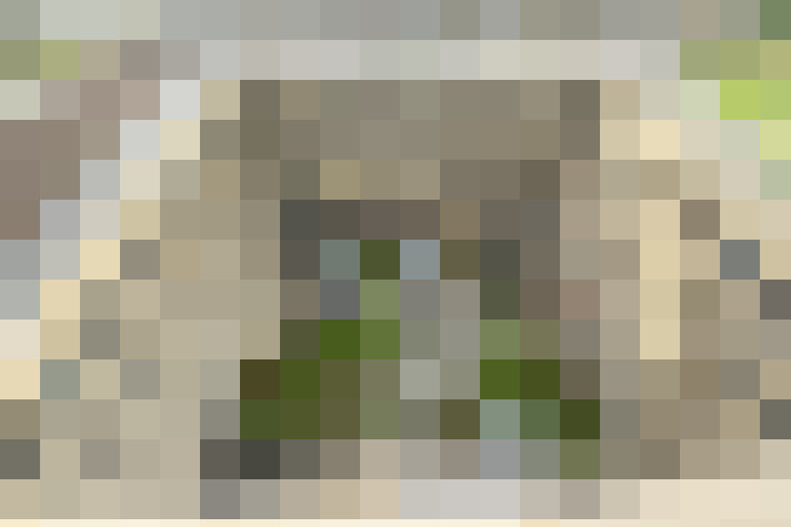 Image 19