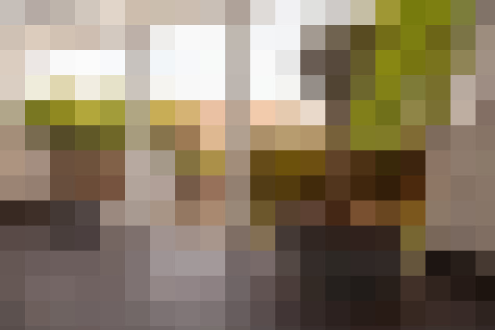 Image 38