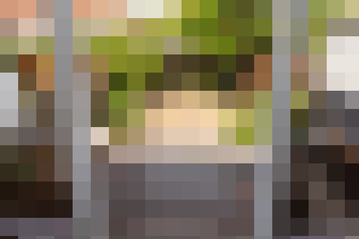 Image 39