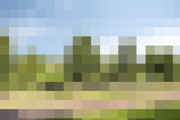 Image 20