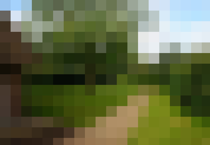 Image 32