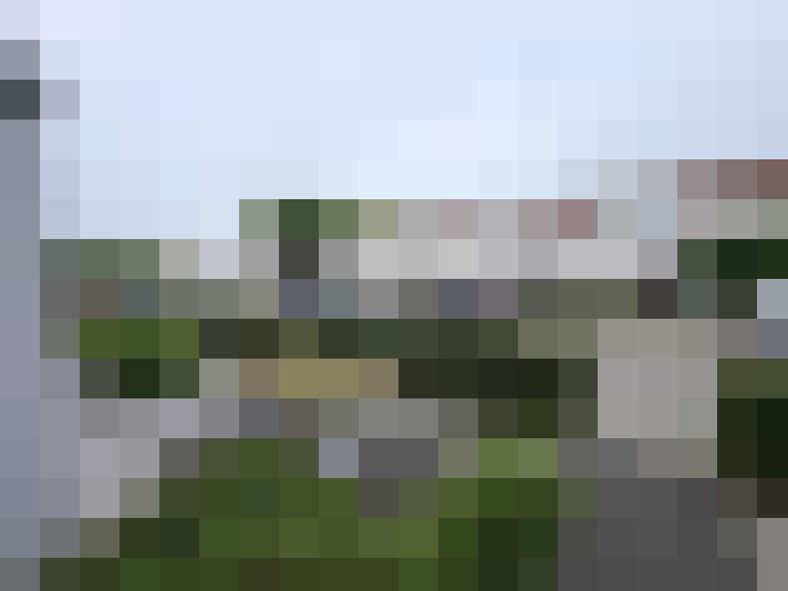 Image 24