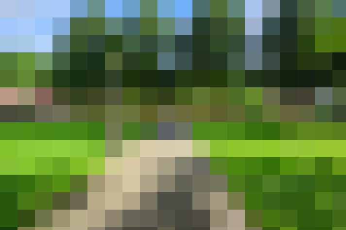 Image 23