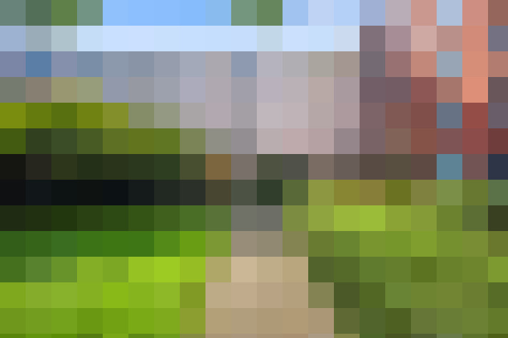 Image 22
