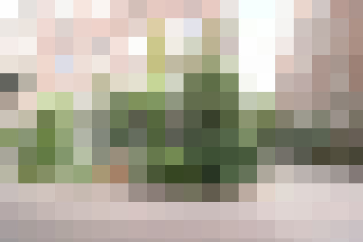 Image 34