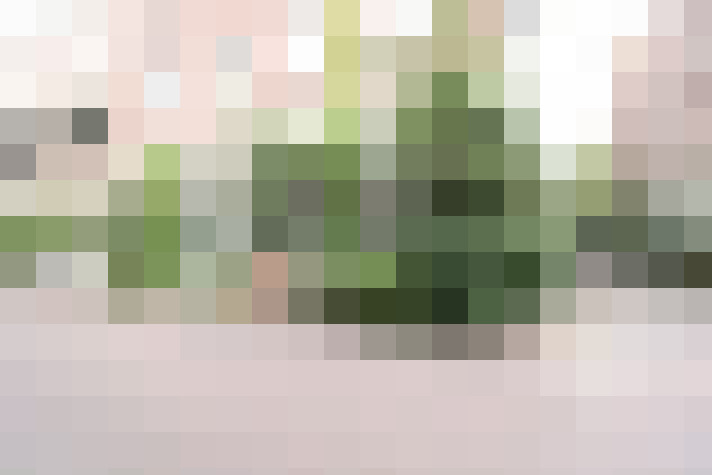 Image 32