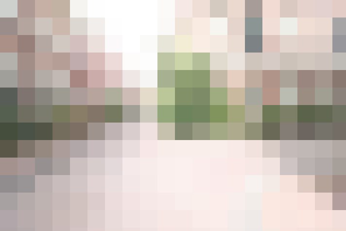 Image 35
