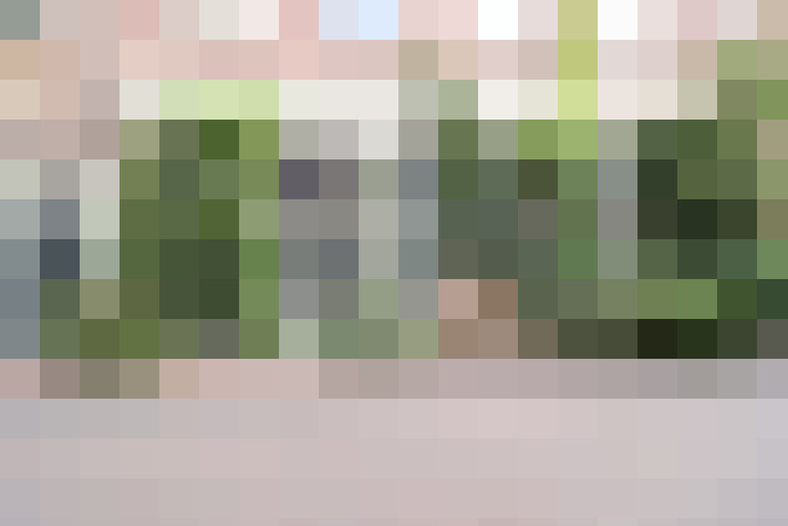 Image 33