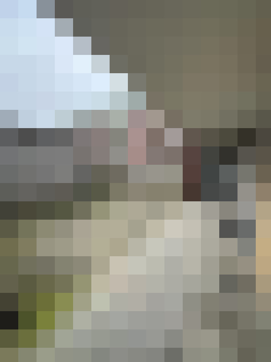 Image 15