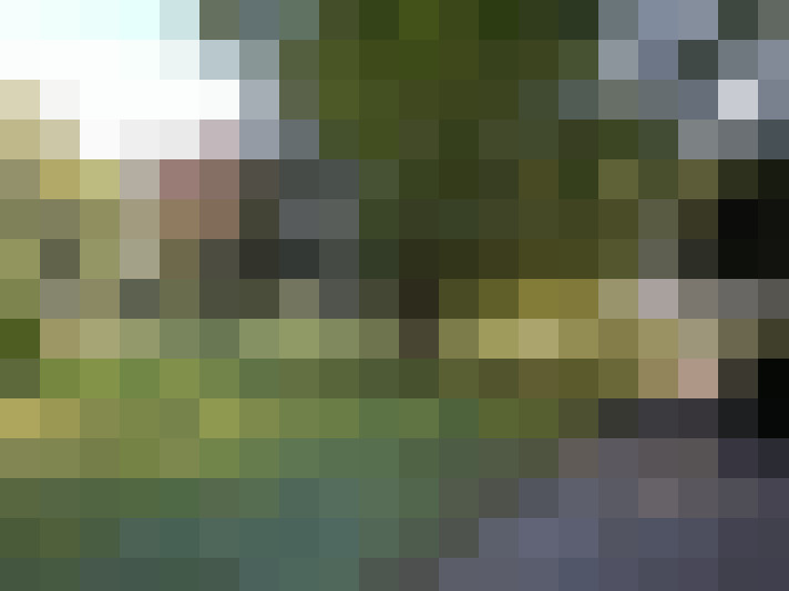 Image 14