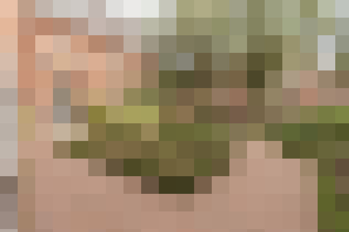 Image 31