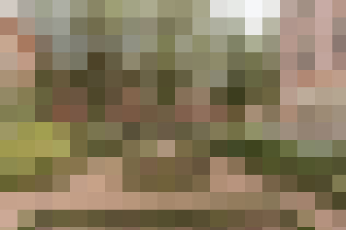 Image 32