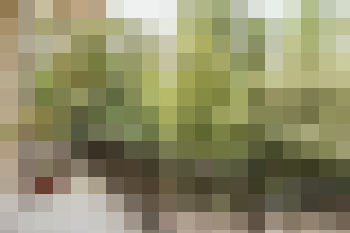 Image 33