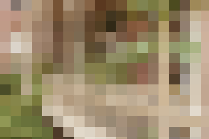 Image 30