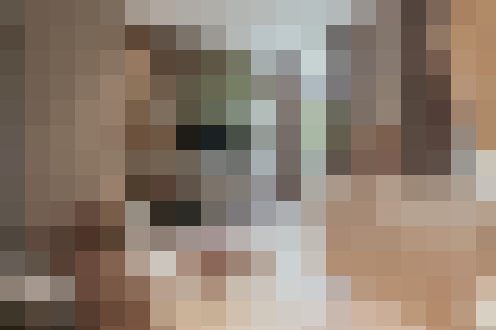 Image 17