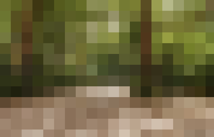Image 37
