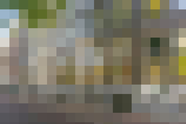 Image 33