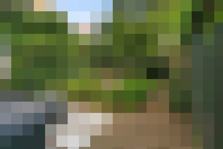 Image 25