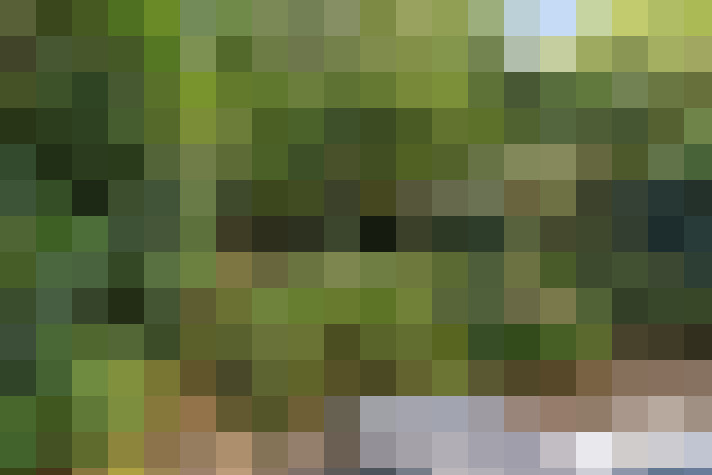 Image 27