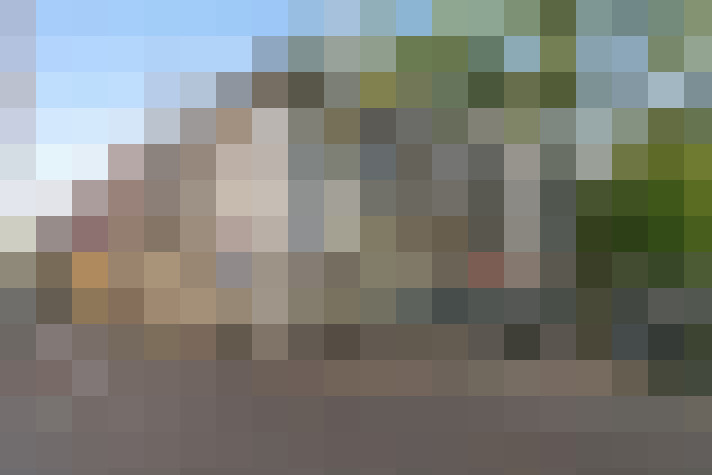 Image 29
