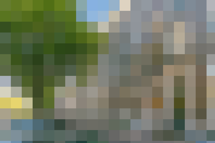 Image 30