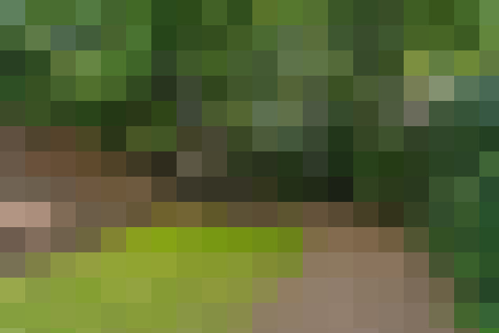 Image 26