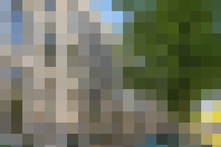 Image 31