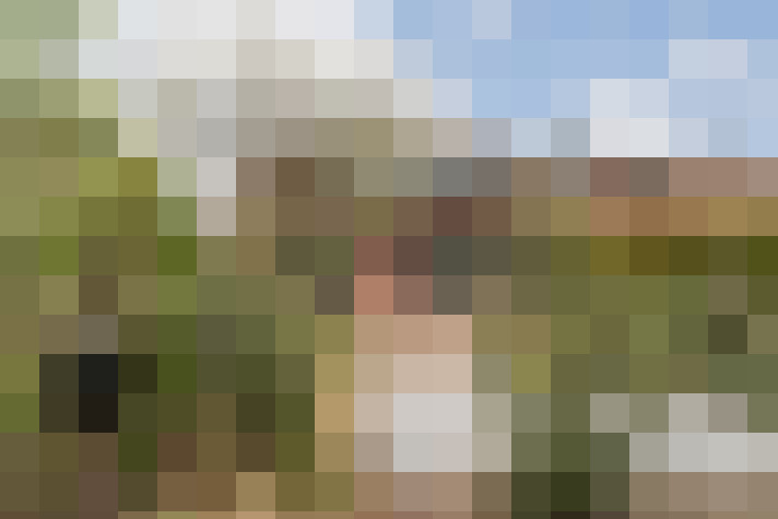 Image 22