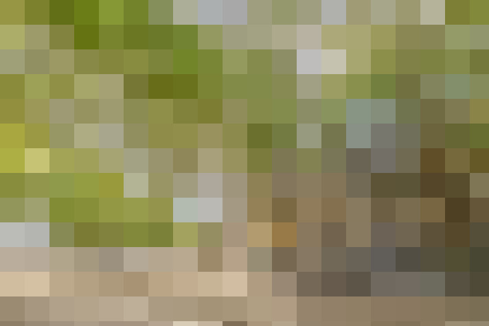 Image 17