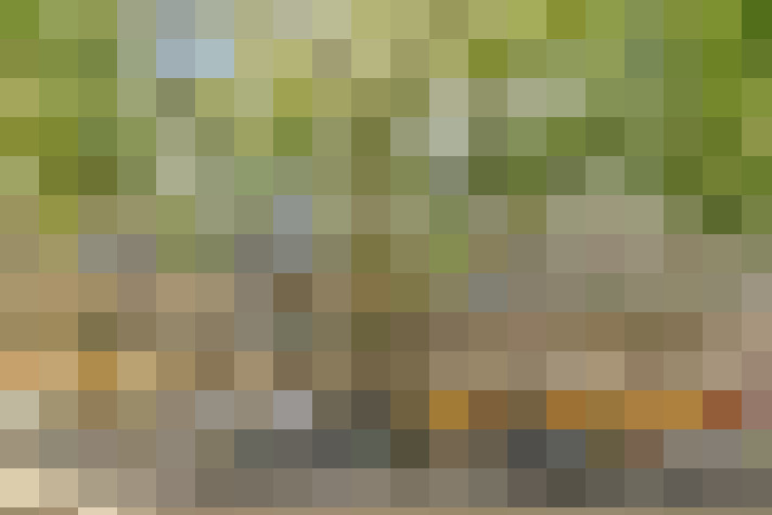 Image 16