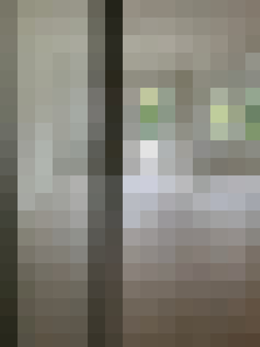 Image 13