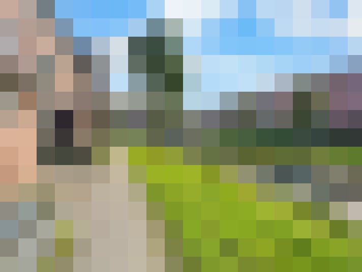 Image 20