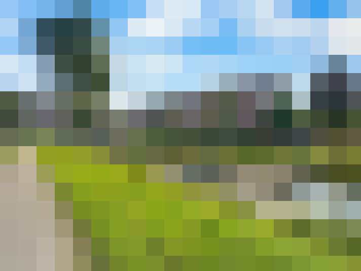 Image 21