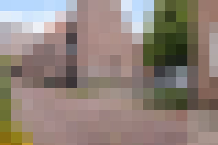 Image 22