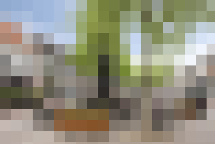 Image 16